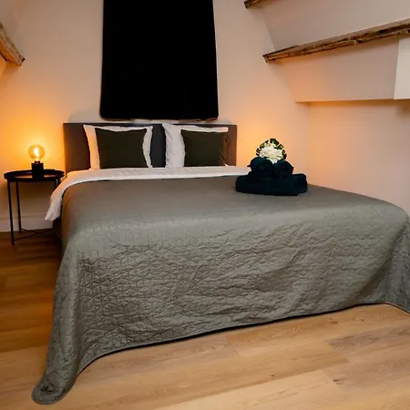 Luxury Apartment *